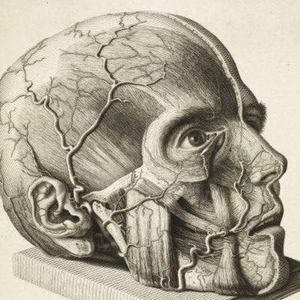 Meet your Posher, George